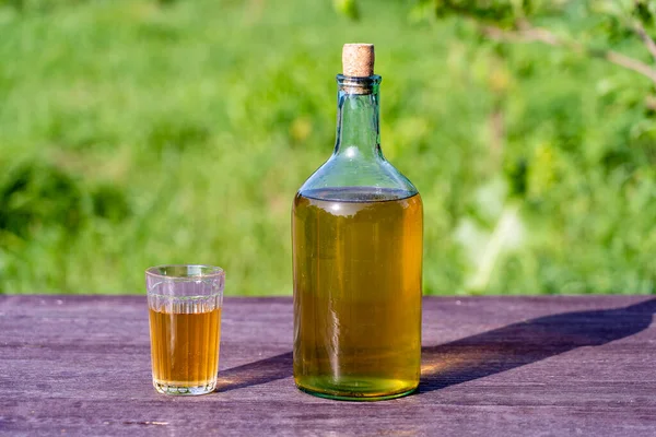 Zelfgemaakte Wijn Een Grote Glazen Fles Achtergrond Van Natuur Tuin — Stockfoto