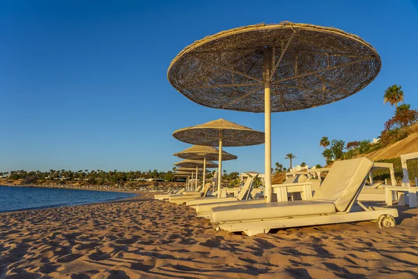 Luxus Homokos Strand Tengerparti Székekkel Fehér Szalma Esernyők Trópusi Üdülőhelyen — Stock Fotó