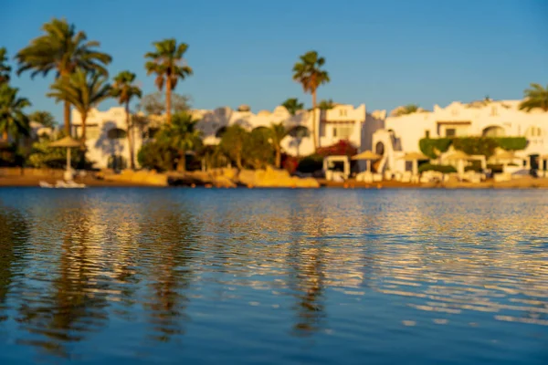 Gebäude Liegestühle Sonnenschirme Und Palmen Spiegeln Sich Morgens Ruhigen Wasser — Stockfoto