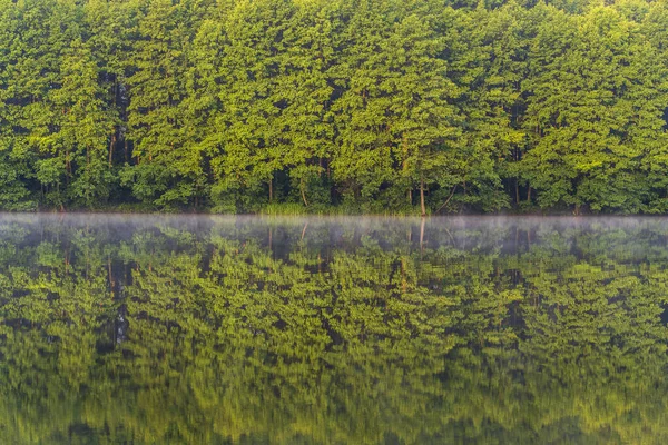 Grüner Wald Der Nähe Des Sees Reflexion Ruhigem Wasser Und — Stockfoto