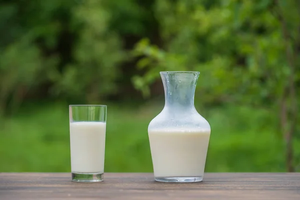 우유를 주전자와 유리잔에 담아서 자연의 배경에 식탁에 닫는다 제품의 개념은 — 스톡 사진