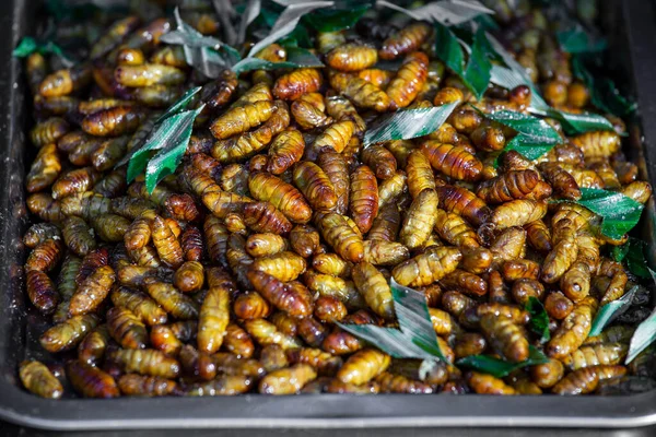 Cerca Larva Una Pupa Que Cocina Una Comida Callejera Gente — Foto de Stock