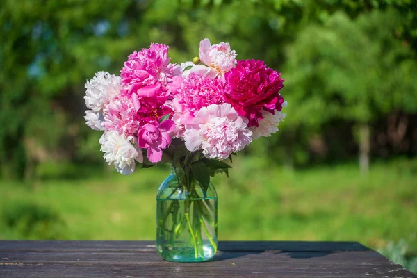 Beautiful Bouquet Flowers Peonies Glass Jar Water Garden Ukraine Red — Stock Photo, Image