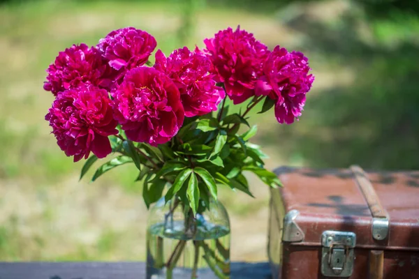 Beautiful Bouquet Flowers Red Peonies Glass Jar Water Old Suitcase — Stock Photo, Image