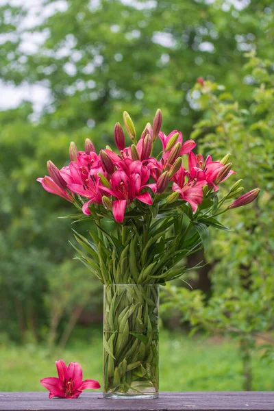 Чудовий Букет Червоних Лілійних Квітів Скляній Вазі Зеленому Саду Україна — стокове фото