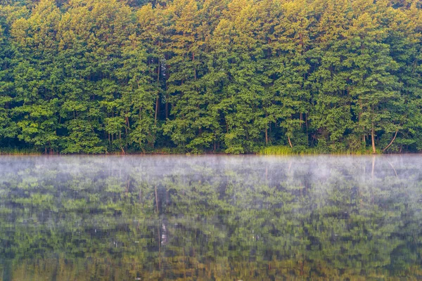 Zöld Erdő Közel Elmélkedve Nyugodt Víz Köd Víz Felett Reggel — Stock Fotó