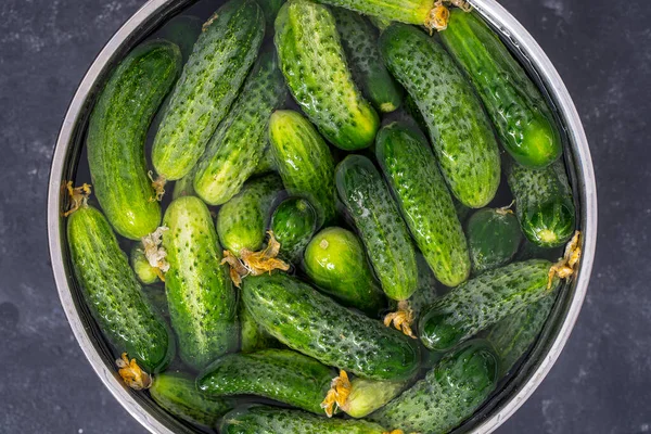 绿色新鲜黄瓜在水里装在铁碗里 夏园蔬菜 — 图库照片