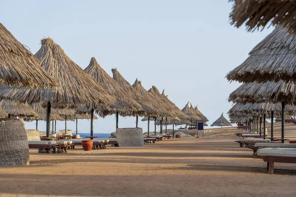 Spiaggia Sabbia Lusso Con Sedie Sdraio Ombrelloni Paglia Località Tropicale — Foto Stock