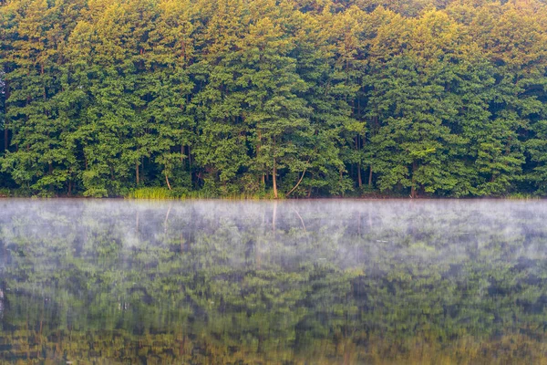 Green Forest Lake Reflection Calm Water Fog Water Morning Ukraine — Stock Photo, Image