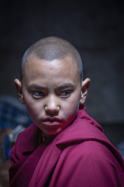 Ladakh, Kuzey Hindistan - Haziran 26, 2015: Tibetli genç adam Kuzey Hindistan 'ın Leh kenti yakınlarındaki Ladakh kentinde Hemis Budist Festivali' ne katılıyor