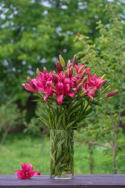 Beautiful Bouquet Red Lily Flowers Vase Green Garden Ukraine Close — Stock Photo, Image