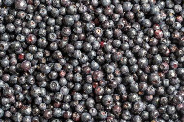 Yüzey yaban mersinli yaban mersini katmanıyla kaplı. Yaklaş. Yaz ormanı meyvesi