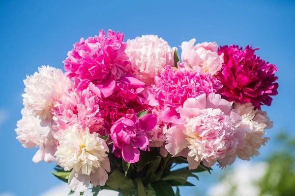 Bellissimo Mazzo Fiori Peonie Vaso Vetro Con Acqua Giardino Sfondo — Foto Stock