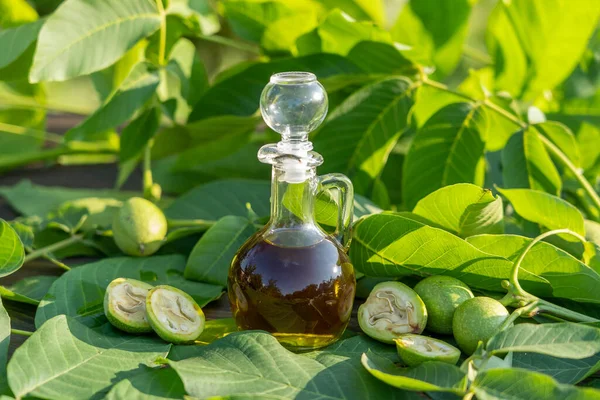 Walnut oil in a glass bottle and nuts on the background of nature, close-up. Walnut oil on a table with green leaves in garden