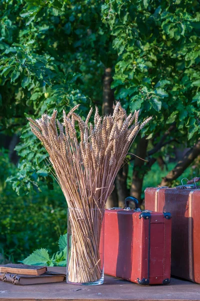 Красивий Пшеничний Букет Скляній Вазі Старій Валізі Книги Дерев Яному — стокове фото