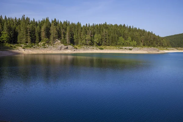 Черное Озеро Crno Jezero Хвойные Леса Национальном Парке Дурмитор Черногория — стоковое фото