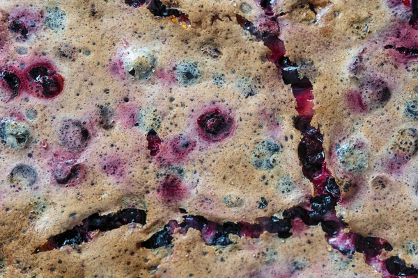 Rissige Blaubeerkuchenkruste Makro Hausgemachtes Bio Dessert Mit Heidelbeerkuchen Aus Nächster — Stockfoto