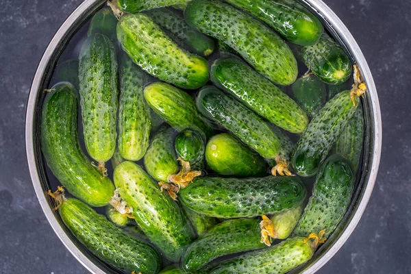 Green Fresh Cucumber Water Iron Bowl Close Summer Garden Vegetable — Stock Photo, Image