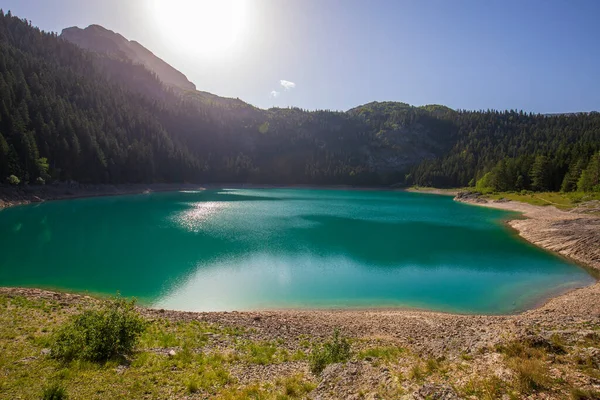 黒湖の水 モンテネグロのドゥルミトル国立公園でCrno Jezero 針葉樹林 — ストック写真