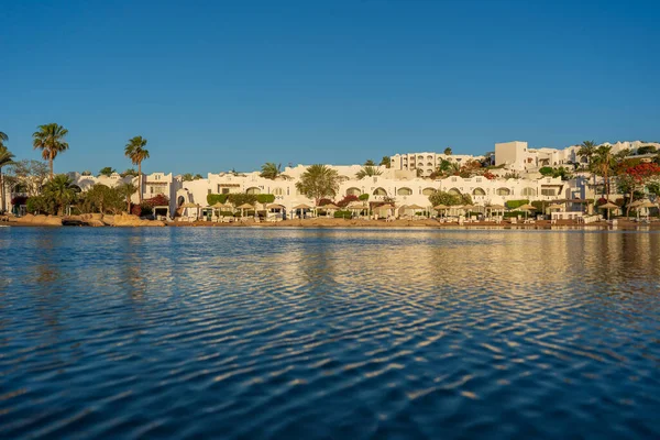 Gebäude Liegestühle Sonnenschirme Und Palmen Spiegeln Sich Morgens Ruhigen Wasser — Stockfoto