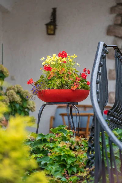 Schöner Dekorativer Roter Blumentopf Mit Blumen Auf Der Treppe Haus — Stockfoto