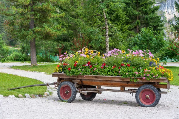 Rustikale Karre Mit Leuchtenden Blumen Einem Bergdorf Den Dolomiten Italien — Stockfoto