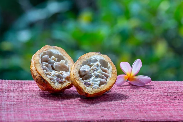 カカオ豆 ココアのフルーツをクローズ アップ インドネシア バリ島 — ストック写真