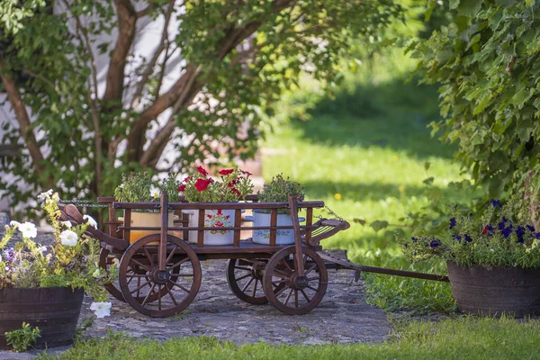 Gartenkomposition Mit Rustikalem Holzkarren Mit Hellen Blumen Hof Des Ethnographischen — Stockfoto