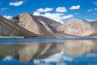 Pangong Lake, Ladakh, Hindistan