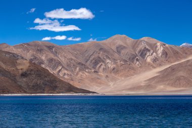 Pangong Lake, Ladakh, Hindistan