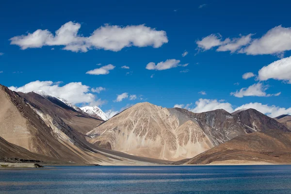 Pangong Lake, Ladakh, Hindistan — Stok fotoğraf