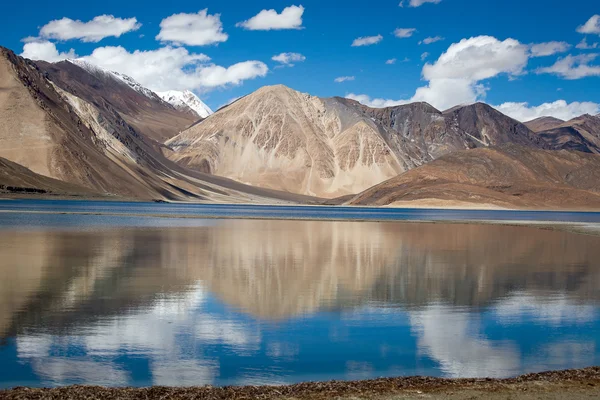 Pangong Lake, Ladakh, Hindistan