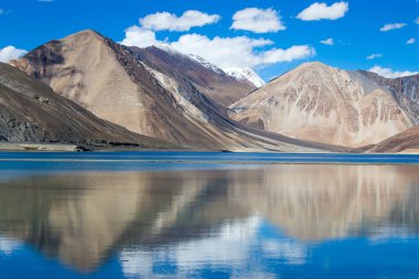 Pangong Lake, Ladakh, Hindistan