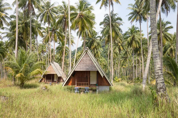 Overwoekerd tropische bungalows in de jungle op eiland Koh Kood, Thailand — Stockfoto