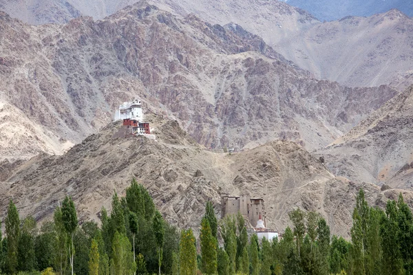Uzun boylu Shanti Stupa Leh, Ladakh, Hindistan içinde — Stok fotoğraf