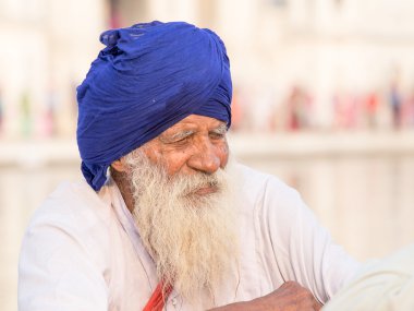 Amritsar, Pencap, Hindistan altın tapınağı ziyaret Sih adam. 