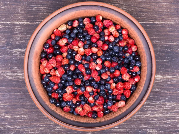 Çilek ve yaban mersini, yaban berry ile taze meyve salatası — Stok fotoğraf