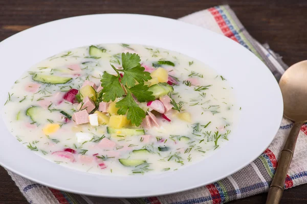 Vegetable soup on yogurt, sour-milk base - okroshka — Stock Image Vegetable soup on yogurt, sour-milk base - okroshka Stock Picture