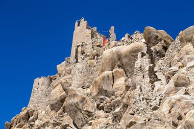 Ladakh, Hindistan shey Palace 