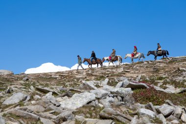 turistler eğleniyor Rohtang geçişte Himachal Pradesh, Hindistan
