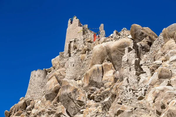 Shey Palace i Ladakh, India — Stockfoto