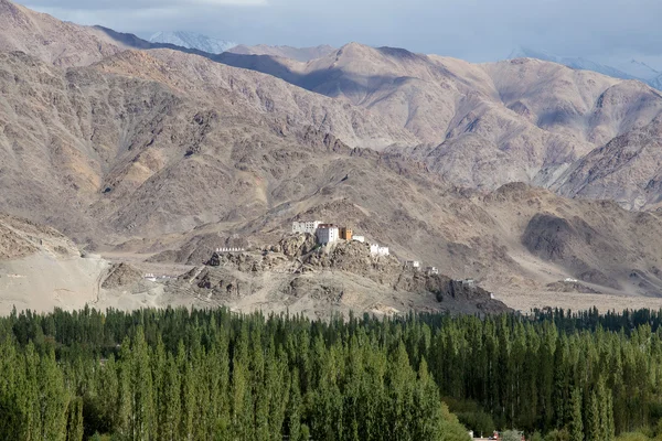 Matho Manastırı, Hindistan'ın Ladakh kentinde bulunan bir Budist manastırıdır. , — Stok fotoğraf