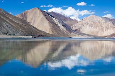 Pangong Lake, Ladakh, Hindistan