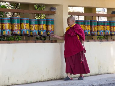 Dharamsala, Hindistan tapınağında ibadet tekerlerimi dönüm eski Tibet Budist rahip