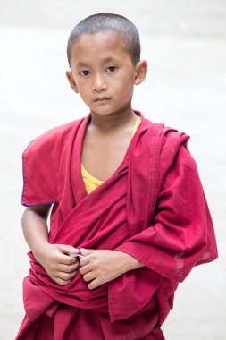 Genç Tibet Budist rahip, Dharamsala, Hindistan
