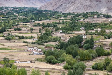 Likir manastır, Ladakh, Hindistan göster 