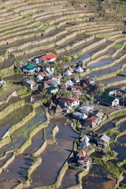 batad, Kuzey luzon, infugao il Türkiye Dünya Mirası pirinç terasları.