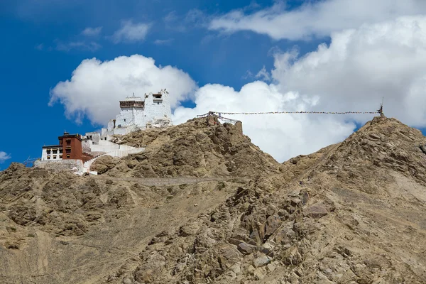 Kalesi ve Namgyal Leh, Ladakh, Hindistan içinde — Stok fotoğraf