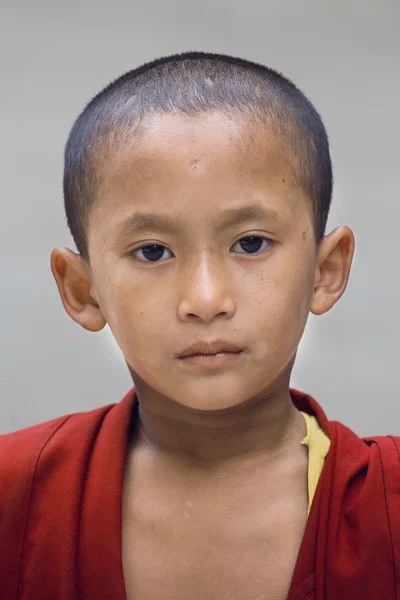 Młody tybetański Buddyjski mnich, Dharamsali w Indiach — Zdjęcie stockowe