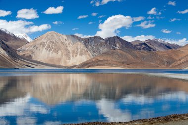 Pangong Lake, Ladakh, Hindistan